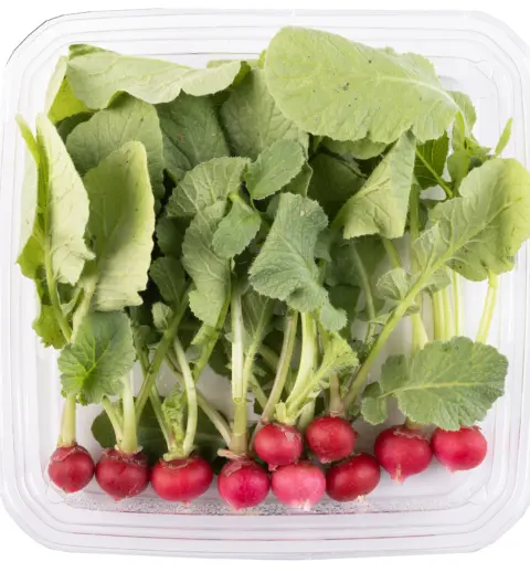 Mini Rabanete