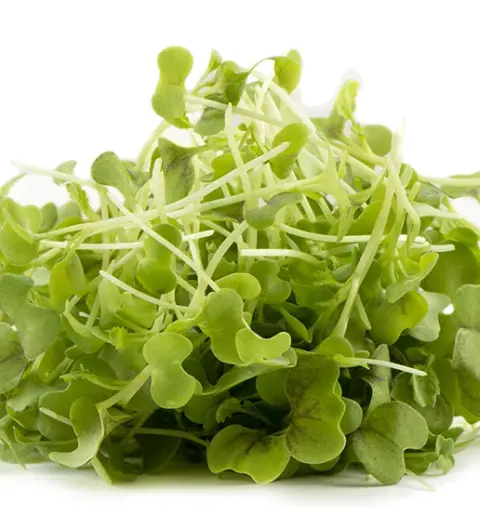 Mostarda Verde