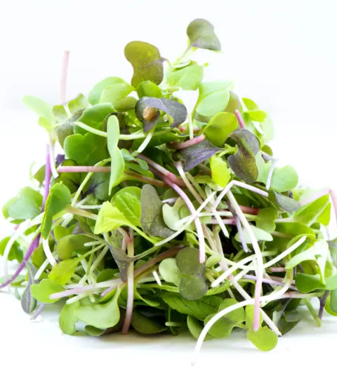 micro mix